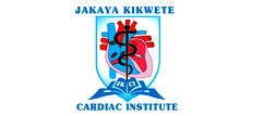Jakaya Kikwete Cardiac Institute